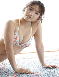 海灯传奇全集
