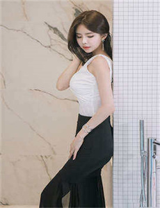 电视剧上门女婿全集