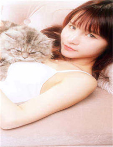 坛蜜电影全集